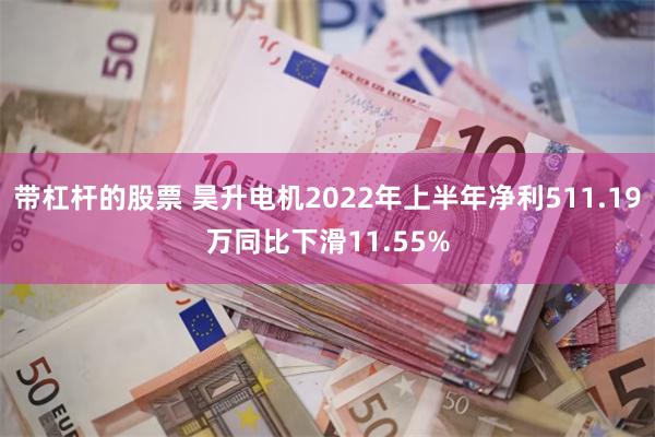 带杠杆的股票 昊升电机2022年上半年净利511.19万同比下滑11.55%