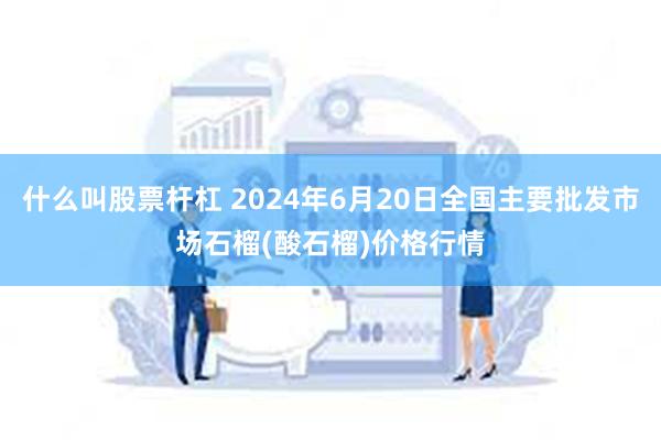 什么叫股票杆杠 2024年6月20日全国主要批发市场石榴(酸石榴)价格行情