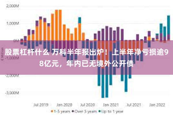 股票杠杆什么 万科半年报出炉！上半年净亏损逾98亿元，年内已无境外公开债