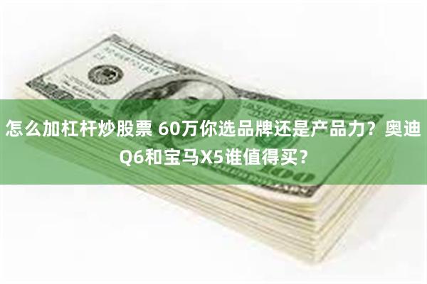 怎么加杠杆炒股票 60万你选品牌还是产品力？奥迪Q6和宝马X5谁值得买？