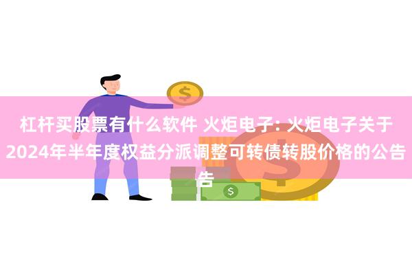 杠杆买股票有什么软件 火炬电子: 火炬电子关于2024年半年度权益分派调整可转债转股价格的公告