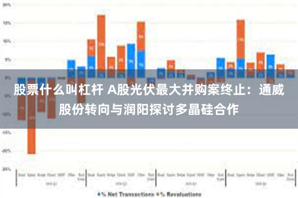 股票什么叫杠杆 A股光伏最大并购案终止：通威股份转向与润阳探讨多晶硅合作