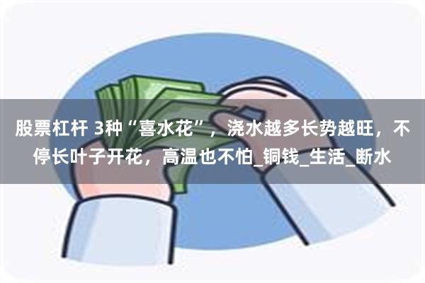 股票杠杆 3种“喜水花”，浇水越多长势越旺，不停长叶子开花，高温也不怕_铜钱_生活_断水